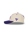 Desert Crest Cap